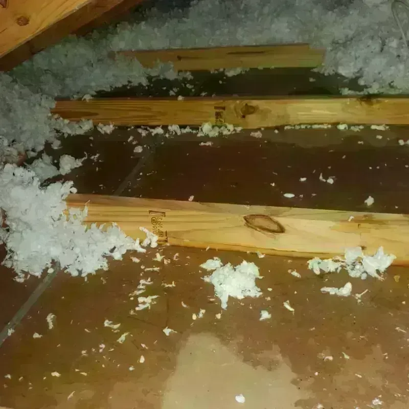 Attic Water Damage in Butler, GA